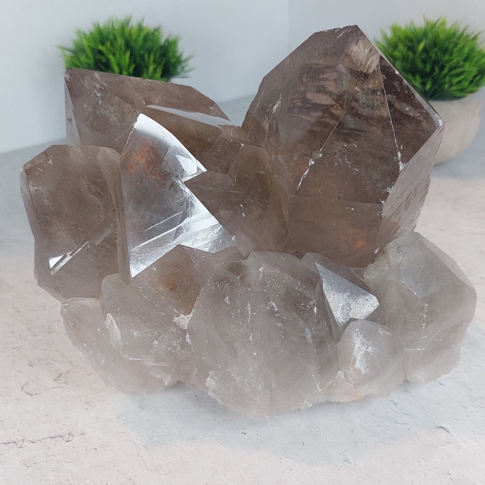 Large Smoky Quartz Cluster | Grounding • Protection • Energy Purification